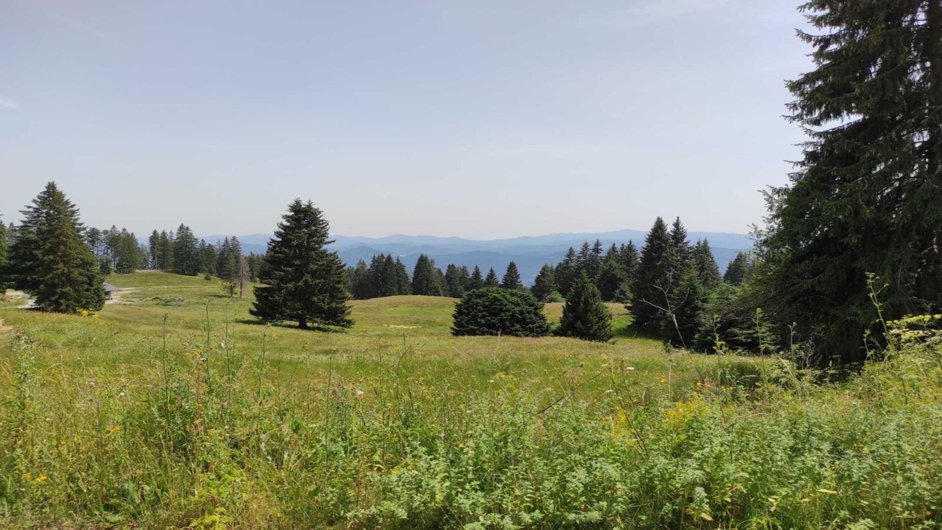 Luxury SPA hotel with beautiful views and a great location in Pamporovo