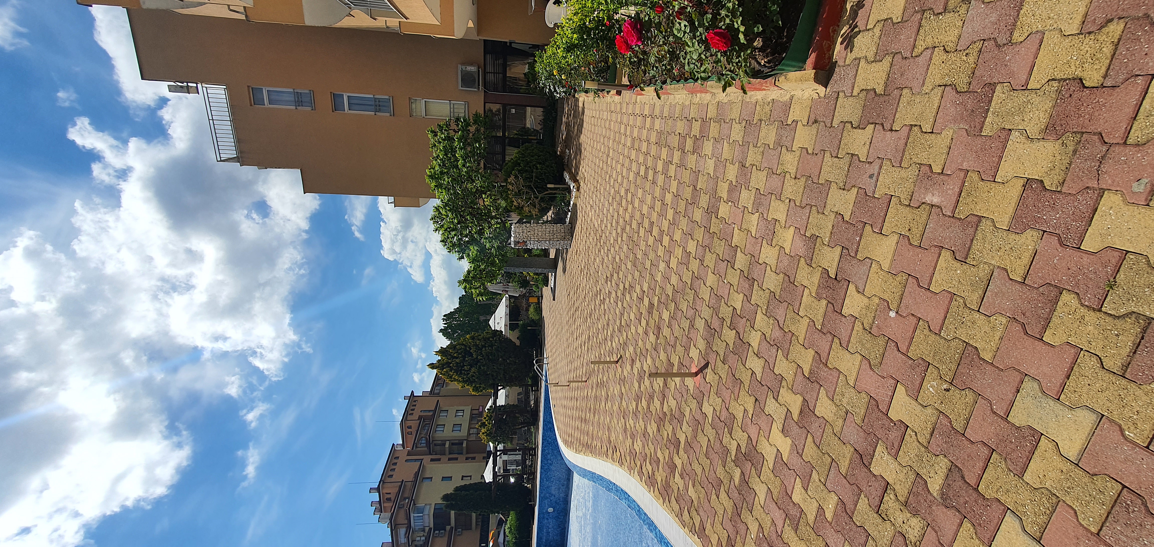 Apartment #7 - Kameliya Garden 1 resort complex (89)