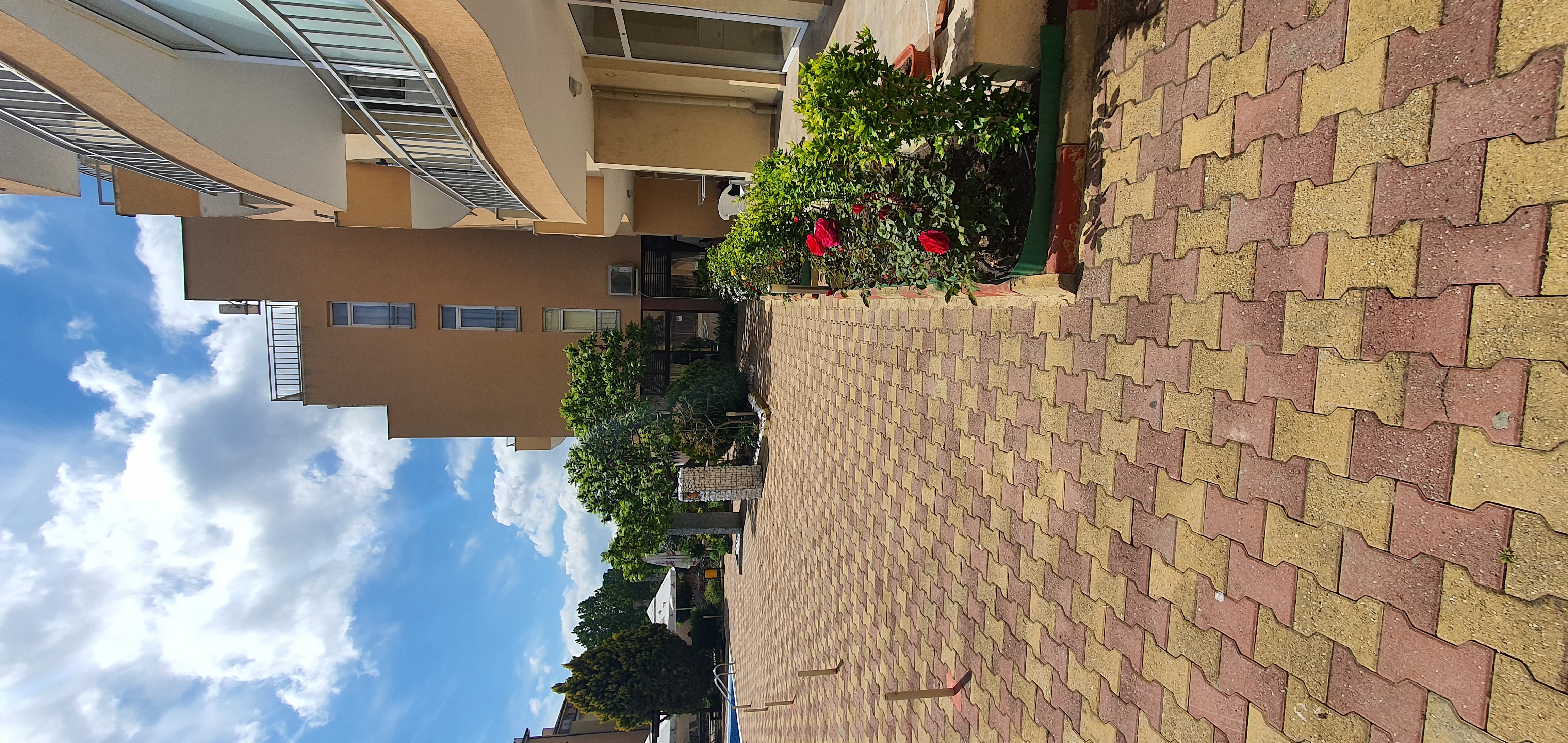 Apartment #7 - Kameliya Garden 1 resort complex (89)