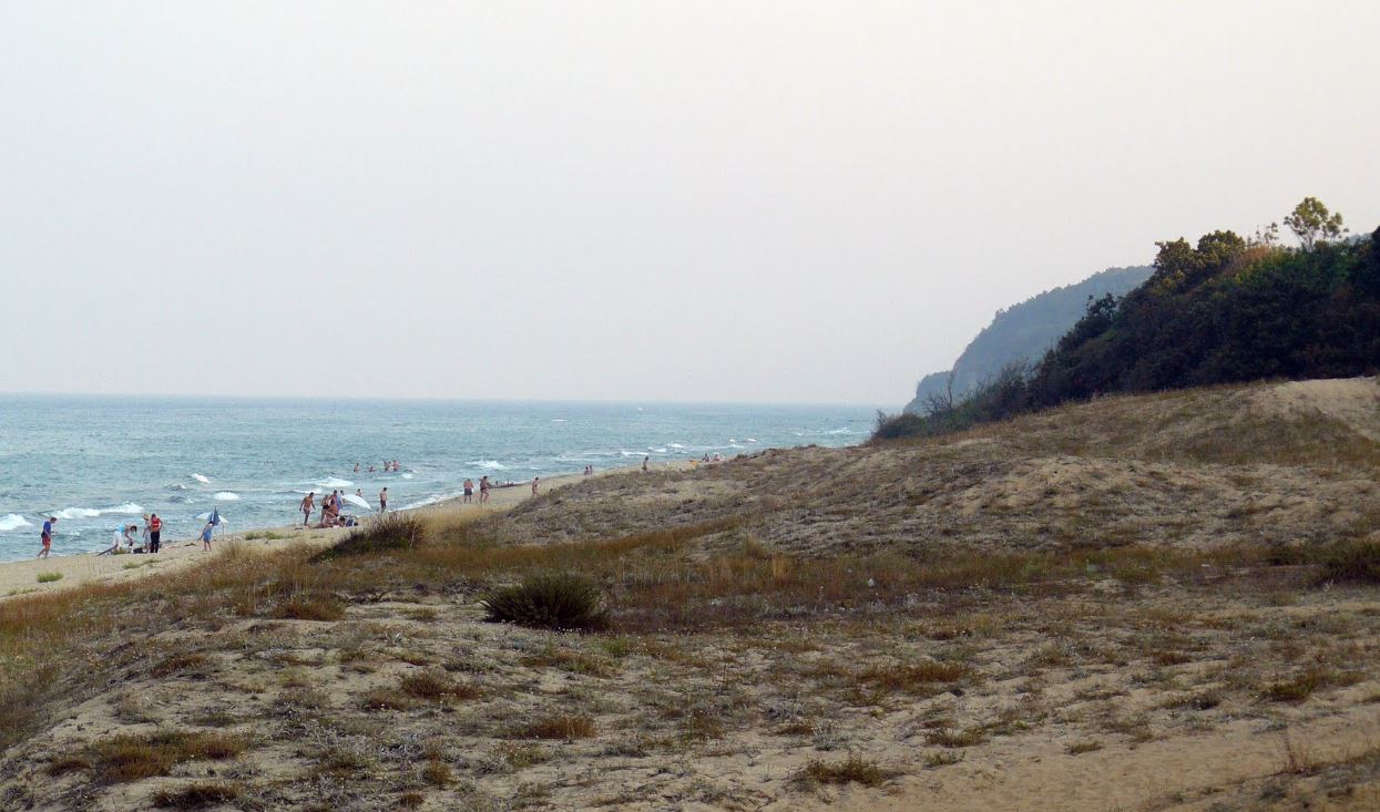 Land property - Mzhdryana area
