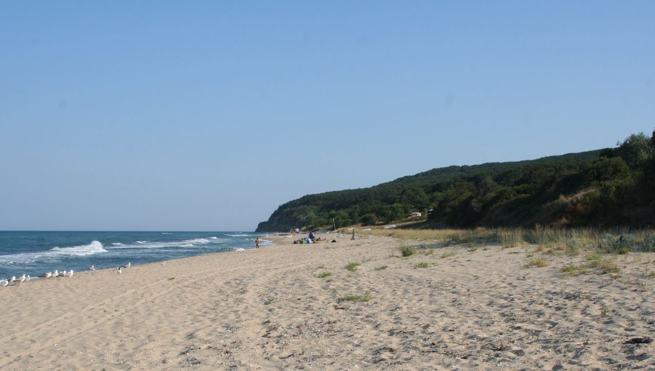 Land property - Mzhdryana area