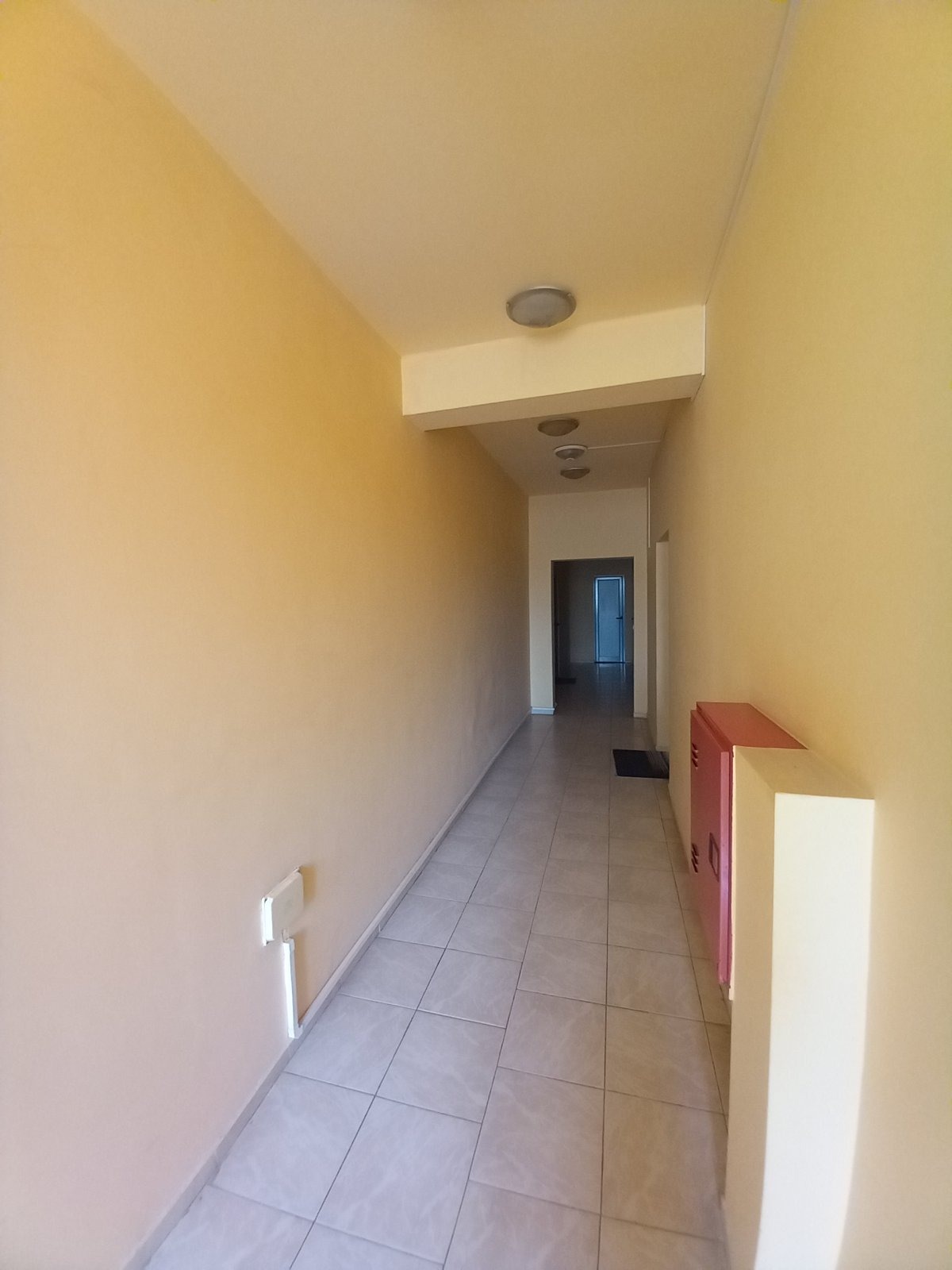 Apartment No. 17, Mladost district